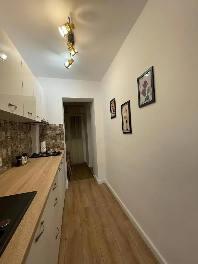 Luxury Studio Bucharest Apartment